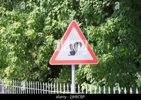 cartello stradale con scoiattolo in triangolo rosso attenzione all'aspetto animale su strada. Foto Stock