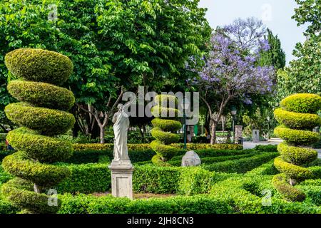 Vista sui giardini del Real del Viveros a Valencia, Andalusia Spagna Foto Stock