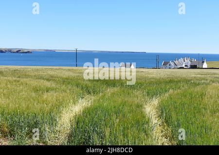 Vista da St Ann's Head attraverso la foce del canale di Milford Haven, Dale, Pembrokeshire, Galles Foto Stock