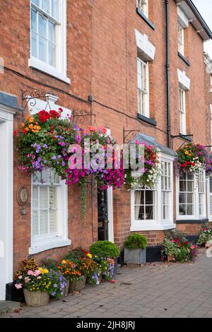 Nei cestini appesi di fiori su fronti di casa nella città di Pershore, Worcestershire, Regno Unito Foto Stock