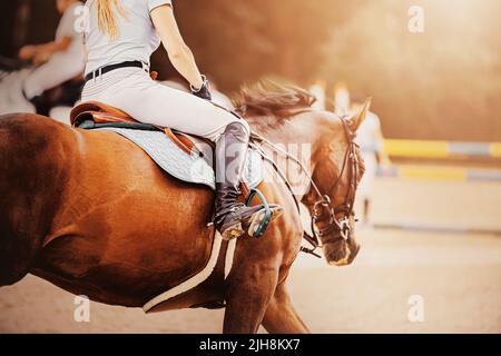 Una vista posteriore di un cavallo veloce baia con un pilota in sella, galoppando alla barriera in una giornata di sole. Sport equestri. Equitazione. Concorso di salto Foto Stock