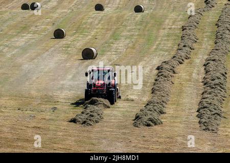 Selkirk, Regno Unito. , . Gli agricoltori fanno buon uso del recente incantesimo del bel tempo, facendo fieno mentre il sole brilla, fieno che si spezza e ballare in una fattoria vicino a Lindean, Selkirk Sabato 16 luglio 2022. ( Credit: Rob Grey/Alamy Live News Foto Stock