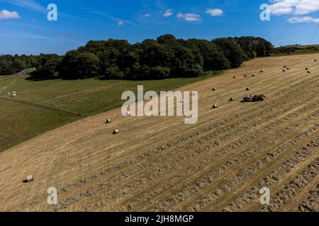 Selkirk, Regno Unito. , . Gli agricoltori fanno buon uso del recente incantesimo del bel tempo, facendo fieno mentre il sole brilla, fieno che si spezza e ballare in una fattoria vicino a Lindean, Selkirk Sabato 16 luglio 2022. ( Credit: Rob Grey/Alamy Live News Foto Stock