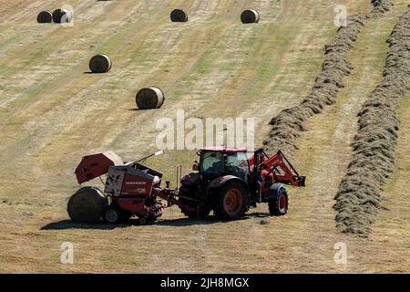 Selkirk, Regno Unito. , . Gli agricoltori fanno buon uso del recente incantesimo del bel tempo, facendo fieno mentre il sole brilla, fieno che si spezza e ballare in una fattoria vicino a Lindean, Selkirk Sabato 16 luglio 2022. ( Credit: Rob Grey/Alamy Live News Foto Stock