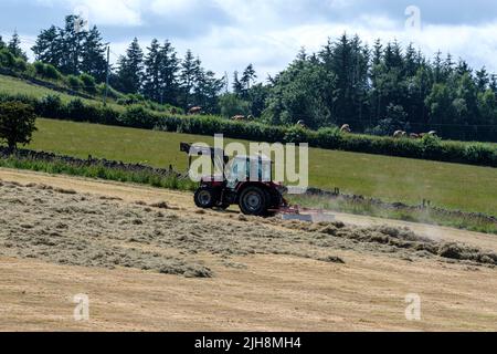 Selkirk, Regno Unito. , . Gli agricoltori fanno buon uso del recente incantesimo del bel tempo, facendo fieno mentre il sole brilla, fieno che si spezza e ballare in una fattoria vicino a Lindean, Selkirk Sabato 16 luglio 2022. ( Credit: Rob Grey/Alamy Live News Foto Stock