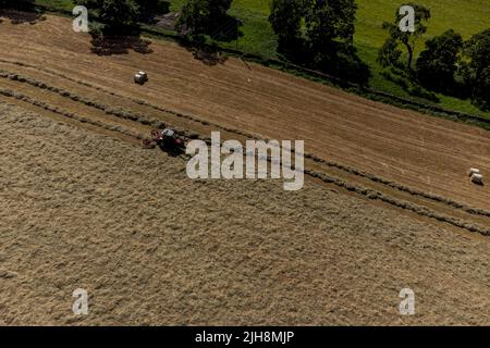 Selkirk, Regno Unito. , . Gli agricoltori fanno buon uso del recente incantesimo del bel tempo, facendo fieno mentre il sole brilla, fieno che si spezza e ballare in una fattoria vicino a Lindean, Selkirk Sabato 16 luglio 2022. ( Credit: Rob Grey/Alamy Live News Foto Stock