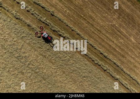 Selkirk, Regno Unito. , . Gli agricoltori fanno buon uso del recente incantesimo del bel tempo, facendo fieno mentre il sole brilla, fieno che si spezza e ballare in una fattoria vicino a Lindean, Selkirk Sabato 16 luglio 2022. ( Credit: Rob Grey/Alamy Live News Foto Stock