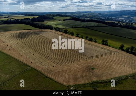 Selkirk, Regno Unito. , . Gli agricoltori fanno buon uso del recente incantesimo del bel tempo, facendo fieno mentre il sole brilla, fieno che si spezza e ballare in una fattoria vicino a Lindean, Selkirk Sabato 16 luglio 2022. ( Credit: Rob Grey/Alamy Live News Foto Stock