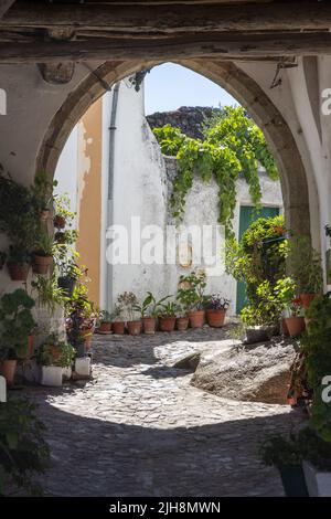 Case nella zona del castello di Castelo de vide, Alentejo, Portogallo Foto Stock