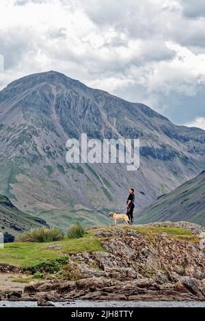 Un uomo di mezza età con il cane in piedi su un affioramento roccioso con la Grande montagna Gable sullo sfondo ammirando la vista in Wasdale Cumbria Inghilterra Regno Unito Foto Stock