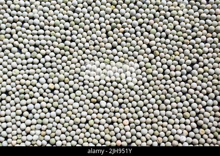 Piselli verdi secchi interi crudi Foto Stock