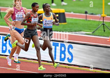 EUGENE, STATI UNITI - LUGLIO 16: Emma Coburn of USA, Jackline Chepkoech di Kenia, Norah Jeruto del Kazakhstan che gareggia sulla Steeplechase femminile da 3000 metri durante i Campionati mondiali di atletica il 16 luglio 2022 ad Eugene, Stati Uniti (Foto di Andy Astfalck/Agenzia BSR) Foto Stock