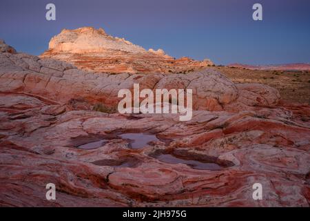 Sacche d'acqua, formazioni rocciose di arenaria e White Pocket Butte nel Vermillion Cliffs National Monument, Arizona. Foto Stock