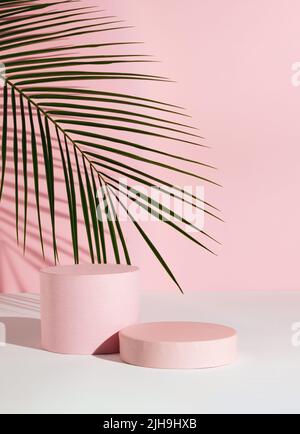 Composizione rosa pastello con podio prodotto e foglia di palma verde. Adatto per l'esposizione di prodotti e il concetto aziendale. Estetica moderna. Foto Stock