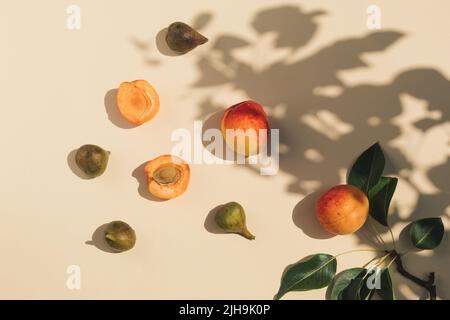 Scena estiva con frutta fresca di albicocca, fichi, foglie e ombra di alberi su sfondo beige. Estetica minimale. Primo piano della composizione. Foto Stock