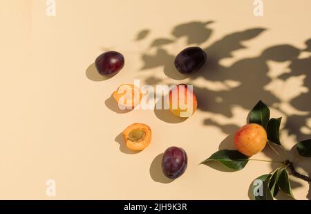 Composizione alimentare creativa fatta di albicocche e prugne. Luce del sole e ombra dell'albero. Disposizione piatta. Foto Stock
