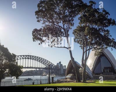 Sydney Harbour Bridge e la Sydney Opera House dal prato di Bennelong dei Royal Botanic Gardens. Foto Stock