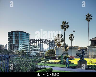 Le Palme dei cavoli (Livistona australis) si torreggiano sopra il Conservatorio di Musica nei Giardini Botanici reali di Sydney con il Ponte del Porto alle spalle. Foto Stock