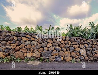 Copyspace with palm trees behind an old stone wall in La Palma, Canary Islands, Spain against a cloudy sky background. Rough exterior architecture Foto Stock