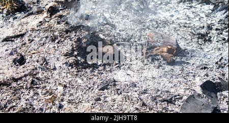 Vista aerea del drone sopra l'erba asciutta di Burning ed il fumo nel campo. Fiamma e fuoco aperto. Foto Stock