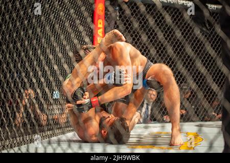 LONG ISLAND, NY - 16 LUGLIO: Brian Ortega (TOP) batte Yair Rodríguez nel loro "The Featherweight bout" durante l'evento UFC Fight Night: Ortega contro Rodriguez alla UBS Arena il 16 luglio 2022, a Elmont, New York, Stati Uniti. (Foto di Matt Davies/PxImages) Foto Stock