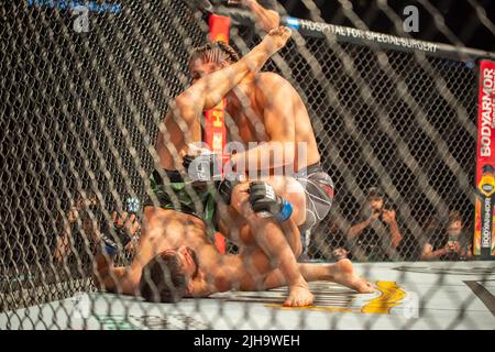 LONG ISLAND, NY - 16 LUGLIO: Brian Ortega (TOP) batte Yair Rodríguez nel loro "The Featherweight bout" durante l'evento UFC Fight Night: Ortega contro Rodriguez alla UBS Arena il 16 luglio 2022, a Elmont, New York, Stati Uniti. (Foto di Matt Davies/PxImages) Foto Stock