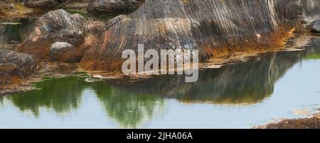 Primo piano di un fiume tranquillo, stagno o lago con massi o rocce in acqua verde mosy in montagna. Vista panoramica di una texture rocciosa e tranquilla Foto Stock