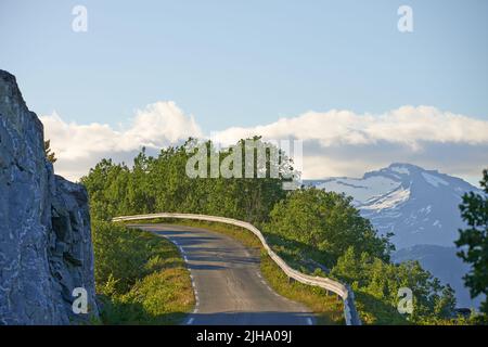 Strada panoramica vuota in montagna durante l'estate in Nordland. Strada appartata e tranquilla sulla campagna circondata da lussureggianti alberi verdi Foto Stock