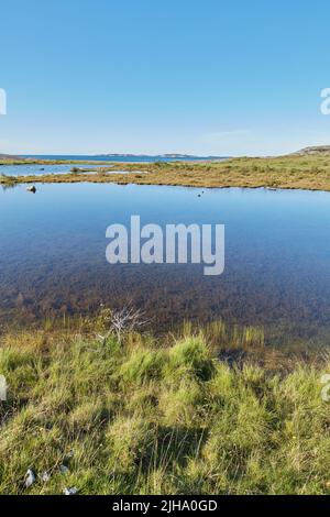 Vista panoramica di un fiume che scorre attraverso una palude e che conduce all'oceano in Norvegia. Vista orizzontale del cielo blu dello spazio di copia e di una paludi. Trabocco di Foto Stock