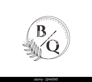 BQ iniziali lettera monogramma modello logo matrimonio, modelli moderni minimalisti e floreali disegnati a mano per le carte di invito, Salva la data, elegante Illustrazione Vettoriale