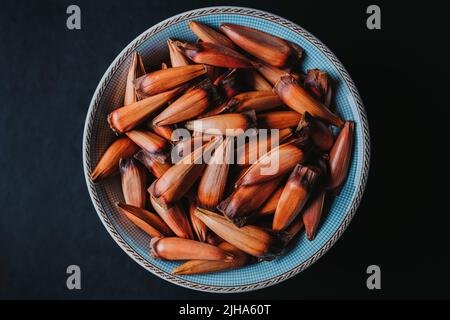 Pinoli cileni, frutta araucaria, in una ciotola blu Foto Stock