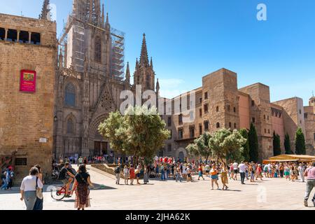 Il Barcelona Cathedral Plaza è pieno il giorno del mercato a Barcellona, in Spagna. Foto Stock