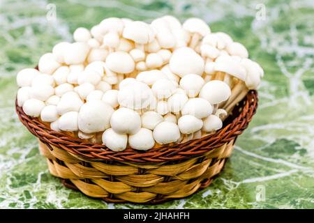 Un mazzo di funghi Bunapi giapponesi freschi bianchi crudi in cucina Foto Stock