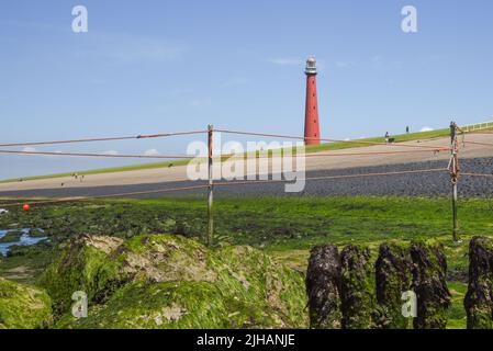 Den Helder, Paesi Bassi. Luglio 2022. Il faro di Den Helder con bassa marea. Foto di alta qualità Foto Stock