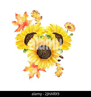 Una composizione di giardino d'autunno. Una serie di illustrazioni acquerello sul tema del raccolto autunnale. Bouquet giardino di girasoli, acero e quercia Foto Stock