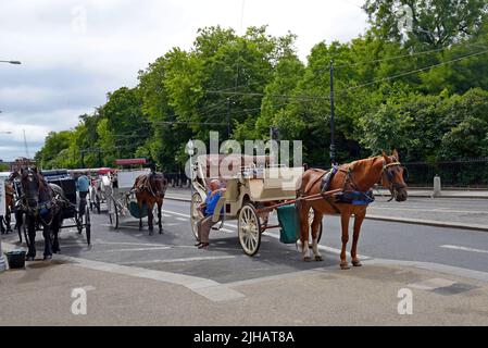 Carrozza trainata da cavalli in attesa di dare ai turisti giri di fronte al Fusiliers Arch, St Stephen's Green, Dublino, Irlanda, luglio 2022 Foto Stock