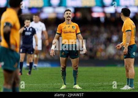 SYDNEY, AUSTRALIA - LUGLIO 16: NIC White guarda verso la score board durante il gioco tre della serie International Test Match tra i wallaby australiani e l'Inghilterra al SCG il 16 luglio 2022 a Sydney, Australia Credit: IOIO IMAGES/Alamy Live News Foto Stock