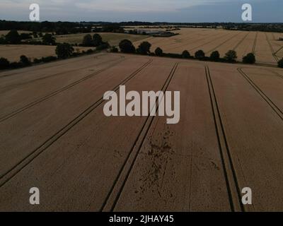 Falciatura-formazione di prodotto di diavolo. Northamptonshire. Inghilterra. REGNO UNITO Foto Stock