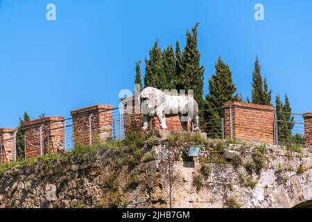 Leone di marmo al Wall Corner di Pisa, Toscana Foto Stock