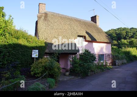Una vista del tradizionale Rose Cottage a Dunster, Minehead, Somerset (Regno Unito) Foto Stock