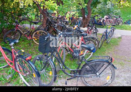 Aspetti colorati di rami di alberi di mela e girasoli. Foto Stock