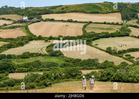 Dorset, Inghilterra, Regno Unito, 17th luglio 2022. UK Meteo: Onda di calore marina. Una giornata molto calda lungo il sentiero costiero reso sopportabile da una brezza marina. Una coppia anziana cammina sul ripido pendio fino al Golden Cap Clifftop; l'uomo ha 90 anni e la donna ha 80 anni Foto Stock