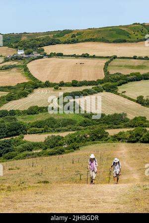 Dorset, Inghilterra, Regno Unito, 17th luglio 2022. UK Meteo: Onda di calore marina. Una giornata molto calda lungo il sentiero costiero reso sopportabile da una brezza marina. Una coppia anziana cammina sul ripido pendio fino al Golden Cap Clifftop; l'uomo ha 90 anni e la donna ha 80 anni Foto Stock