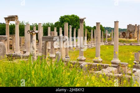 Resti di colonne di pietra di Agora in antico insediamento di Perga, Turchia Foto Stock