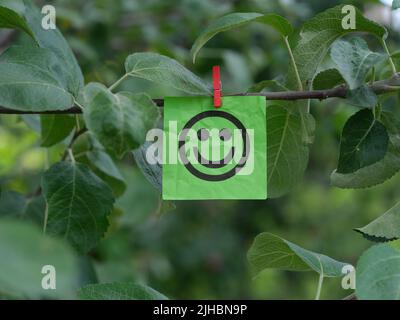 Una nota di carta verde con un volto felice su di esso attaccato ad un ramo di albero con un perno di vestiti. Primo piano. Foto Stock