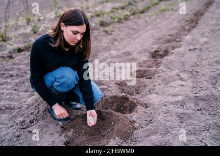 L'agricoltore femminile versa in primavera fagioli bianchi crudi, terreno vegetale da giardino. Agricoltura biologica e giardinaggio, agricoltura, concetto di nutrizione Foto Stock
