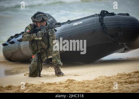 Waimanalo, Stati Uniti. 15th luglio 2022. La fanteria navale messicana prende il controllo della spiaggia durante un addestramento delle operazioni anfibio con il corpo marino degli Stati Uniti parte del bordo degli esercizi del Pacifico a Bellows Beach 15 luglio 2022 nella stazione dell'aeronautica di Bellows, Hawaii. Credito: LCpl. Haley Fourmet Gustavsen/USA Marines/Alamy Live News Foto Stock