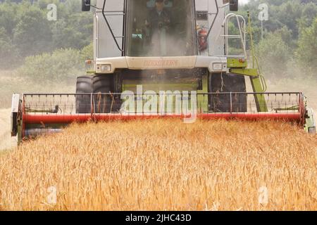 Una mietitrebbia Claas Lexion 440, Harvesting Barley a Leeds, West Yorkshire Foto Stock