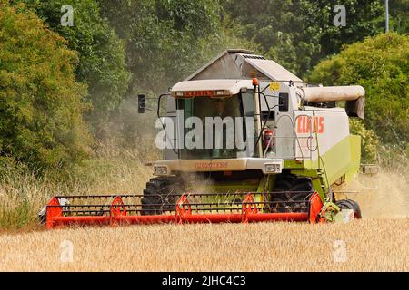 Una mietitrebbia Claas Lexion 440, Harvesting Barley a Leeds, West Yorkshire Foto Stock