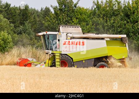 Una mietitrebbia Claas Lexion 440, Harvesting Barley a Leeds, West Yorkshire Foto Stock